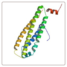 Mouse apolipoprotein E , Apo-E ELISA Kit