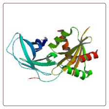 Human Low density lipoprotein receptor adapter protein 1 , LDLRAP1 ELISA Kit
