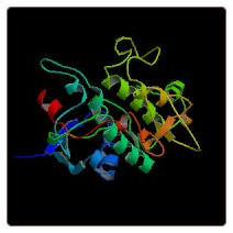 Mouse Heat-stable enterotoxin receptor , GUCY2C ELISA Kit