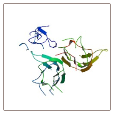 Human Factor-related Apoptosis ligand , FASL ELISA Kit