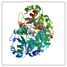 Human Tumor necrosis factor alpha-induced protein 3 , TNFAIP3 ELISA Kit