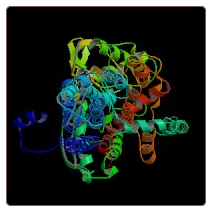 Mouse Niemann-Pick C1-like protein 1 , NPC1L1 ELISA Kit
