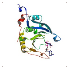 Human Eukaryotic translation initiation factor 4E-binding protein 1 , EIF4EBP1 ELISA Kit