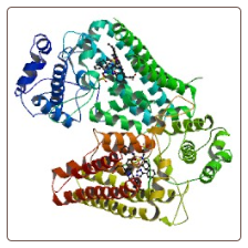 Human soluble tumor necrosis factor receptor 2 , sTNF-R2 ELISA Kit