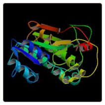 Human Methionine adenosyltransferase 2 subunit beta , MAT2B ELISA Kit