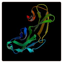 Human Programmed cell death 1 ligand 2 , PDCD1LG2 ELISA Kit