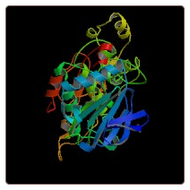 Human Homeodomain-interacting protein kinase 2 , HIPK2 ELISA Kit