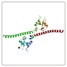 Human apoptosis inhibitor 4 , API4 ELISA Kit