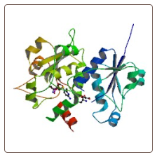 Human Molybdopterin synthase catalytic subunit , MOCS2 ELISA Kit