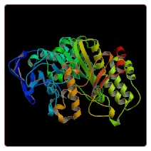 Mouse Arginase-2, mitochondrial , ARG2 ELISA Kit