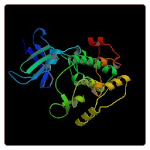 Human Protein JTB , JTB ELISA Kit