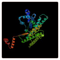 Human CDK5 regulatory subunit-associated protein 2 , CDK5RAP2 ELISA Kit