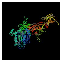 Human Programmed cell death 6-interacting protein , PDCD6IP ELISA Kit