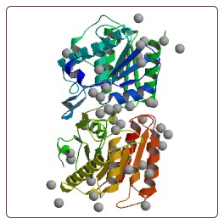 Human Acyl-protein thioesterase 1 , LYPLA1 ELISA Kit
