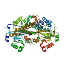 Human Methionine synthase , MTR ELISA Kit