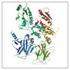 Human Tumor suppressor p53-binding protein 1 , TP53BP1 ELISA Kit