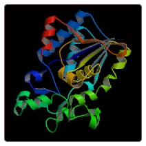 Human phosphoglycerate mutase 2 , PGAM2 ELISA Kit