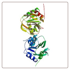 Human Tumor necrosis factor receptor superfamily member 6B , TNFRSF6B ELISA Kit