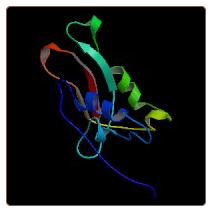 Human Acyl-CoA synthetase family member 2, mitochondrial , ACSF2 ELISA Kit