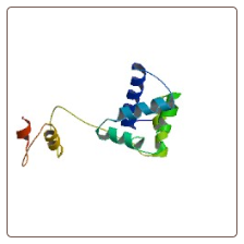 Rat Tripartite motif-containing protein 69 , TRIM69 ELISA Kit