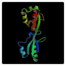 Chicken Insulin-like growth factor 2 mRNA-binding protein 1 , IGF2BP1 ELISA Kit
