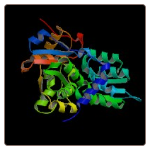 Human Insulin-like growth factor 2 mRNA-binding protein 2 , IGF2BP2 ELISA Kit