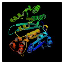 Mouse Tumor protein 63 , TP63 ELISA Kit