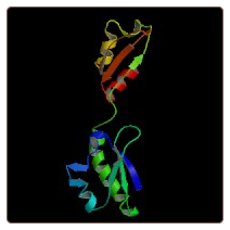 Human Insulin-like growth factor 2 mRNA-binding protein 3 , IGF2BP3 ELISA Kit
