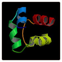 Mouse Tumor protein p73 , TP73 ELISA Kit