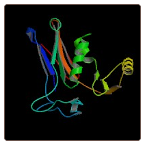 Human Serine/threonine-protein kinase/endoribonuclease IRE1 , ERN1 ELISA Kit