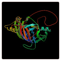 Human Serine/threonine-protein kinase/endoribonuclease IRE2 , ERN2 ELISA Kit