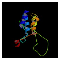 Human Gamma-glutamyltransferase 6 , GGT6 ELISA Kit
