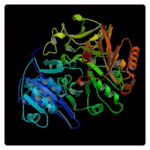 Human Acyl-coenzyme A synthetase ACSM3, mitochondrial , ACSM3 ELISA Kit