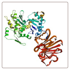 Bovine Deoxyribonuclease-1 , DNASE1 ELISA Kit