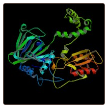 Human Carbohydrate sulfotransferase 3 , CHST3 ELISA Kit