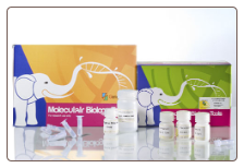 Plasmid Miniprep Purification Kit