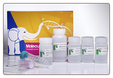 Plasmid Maxiprep Purification Kit