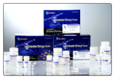 Easy tissue & cell genomic DNA purification kit
