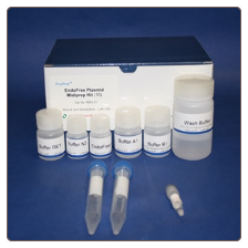 Endofree plasmid midi prep kit, 10 preps
