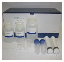 ezFilter plasmid maxi prep kit, 10 preps