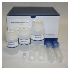 Plasmid maxi prep kit, 10 preps