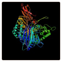 Human apolipoprotein B100 , Apo-B100 ELISA Kit