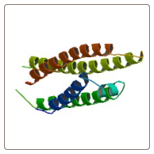 Human apolipoprotein E , Apo-E ELISA Kit