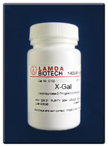 X-Gal 1g