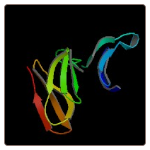 Human Angio-associated migratory cell protein , AAMP ELISA Kit