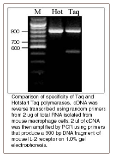 HotStart Taq DNA Polymerase PCR 250 U (50 µl)