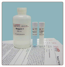 Protein BCA Assay (Kit) 1 kit
