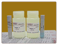 Protein Low BCA Assay (Kit) 1 kit