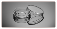 15mm Glass Bottom Cell Culture Dish, TC-treated, sterile,  200/case