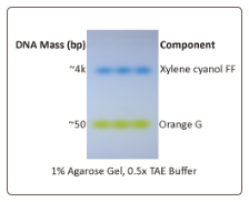 ExcelDye 6× DNA Loading Dye, Green, 2ml x 2